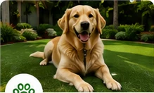 Pet-friendly artificial turf